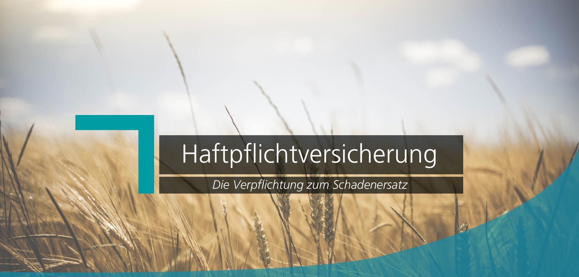 haftpflichtversicherung