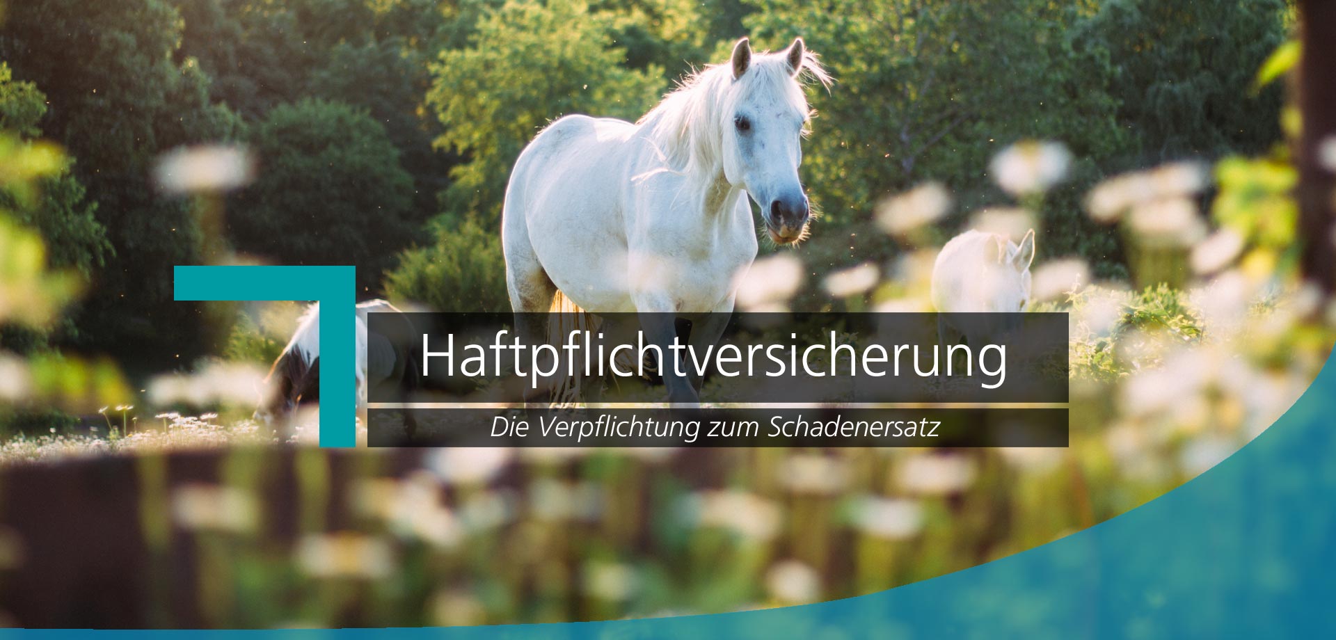 haftpflichtversicherung