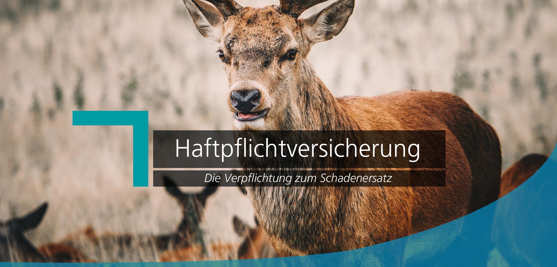 haftpflichtversicherung